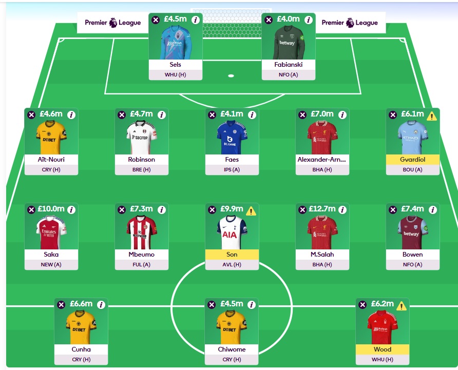 fpl gw10 wildcard team 2024