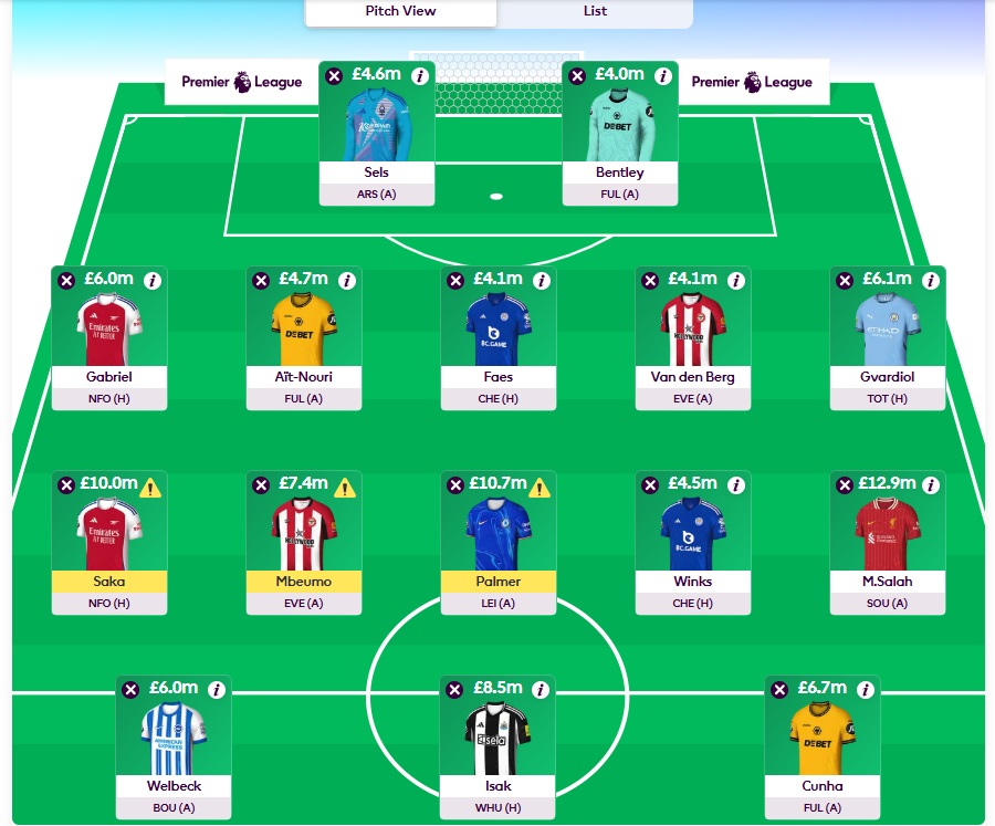 fpl gw12 wildcard team 2024