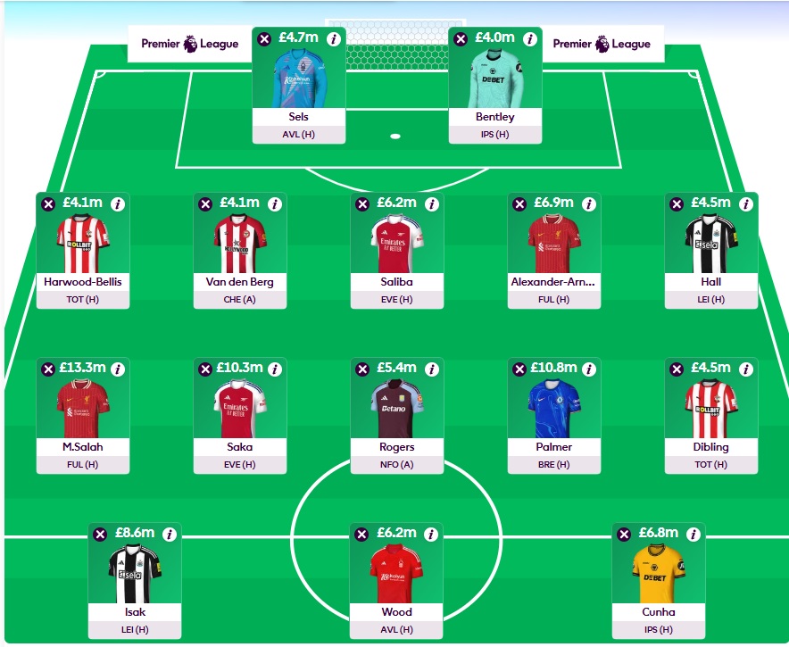 fpl gw16 wildcard team 2024