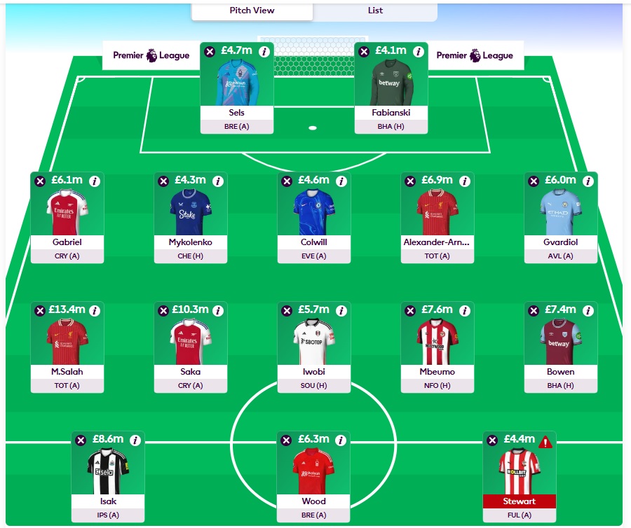 fpl gw17 wildcard team 2024